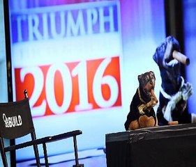 Triumph The Insult Comic Dog RNC