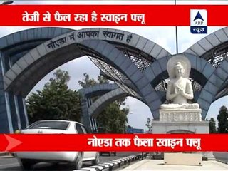 Two fresh cases of swine flu in Noida