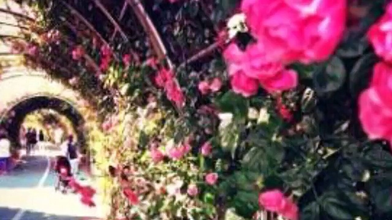 أنشودة شكرا يا ربي | انشودة رائعة