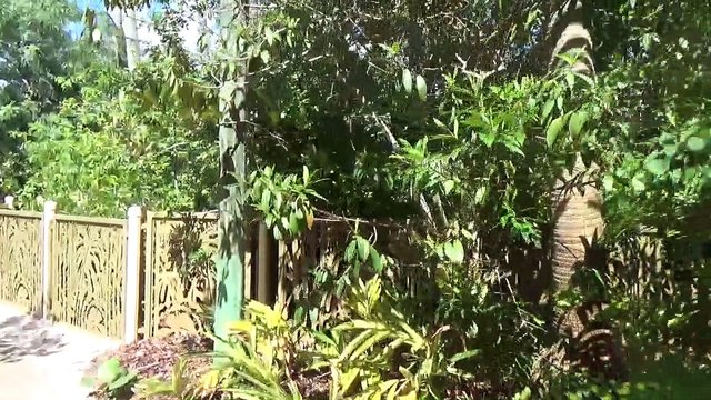 Floride - Partie 2 : Universal Studios Orlando