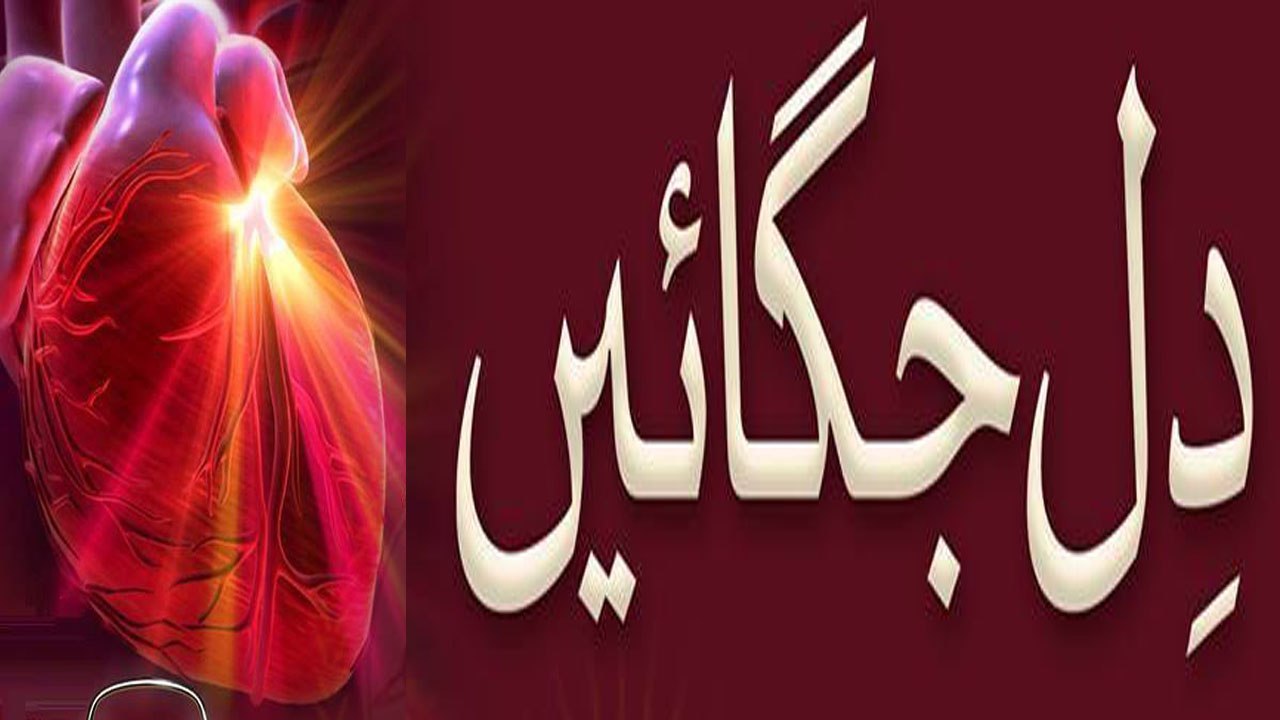 Soya hoya Dil ko Jagaion | سوئے ہوئے دل کو جگائیں