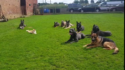 How can this cat be so relaxed? Look where it is!