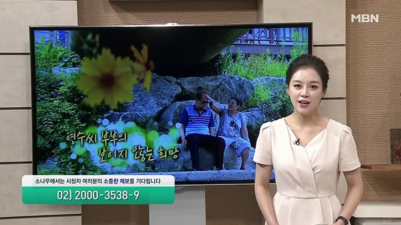 소나무.E243.160723 -1