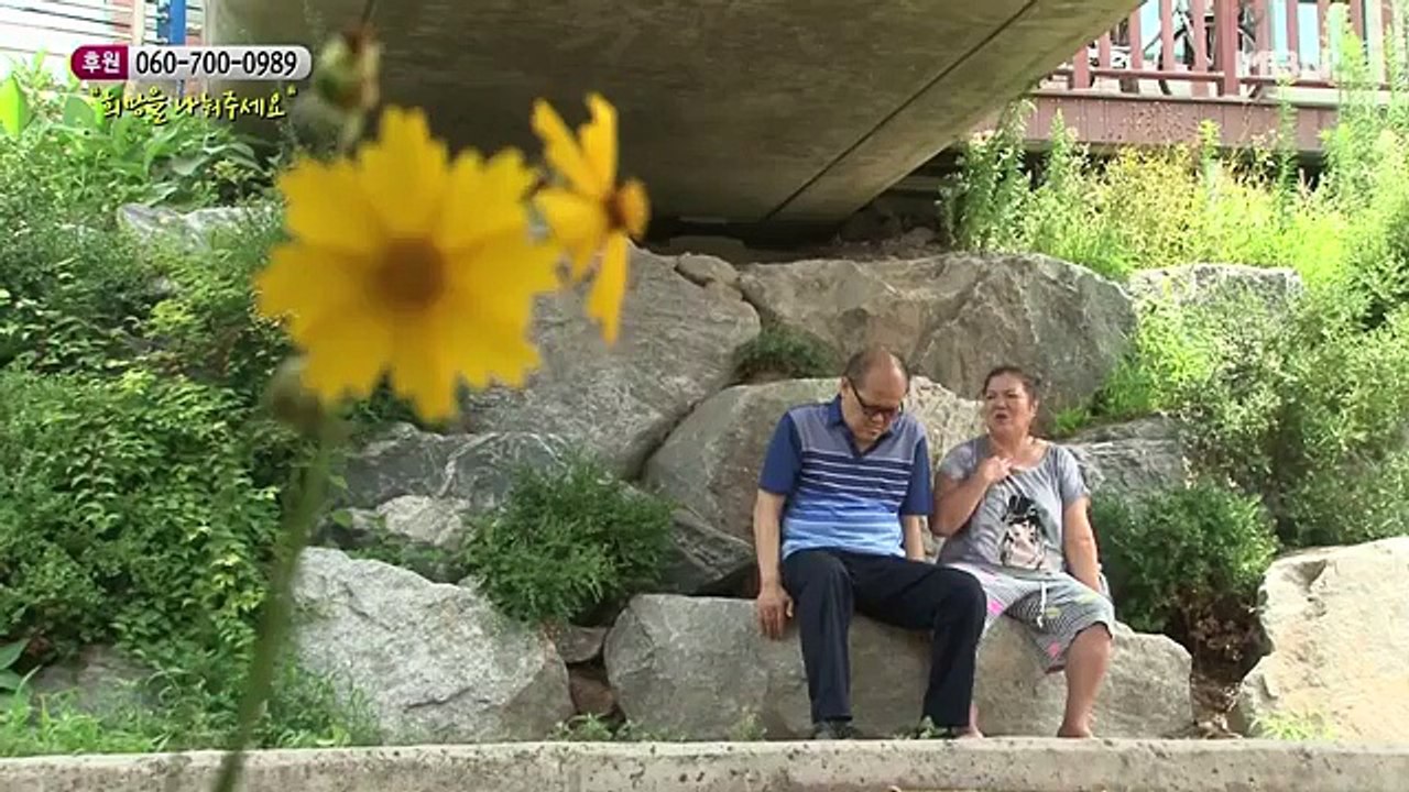 소나무.E243.160723 -2