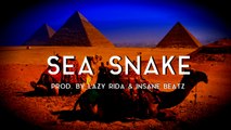 Ethnic Arabic Rap Beat Hip Hop Instrumental - Sea Snake (prod. by Lazy Rida Beats & Insane Beatz)