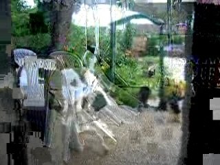 ONJENA monte la garde avec ses copines