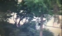 بالفيديو.. 15 قتيلا في إطلاق نار بمركز تجاري بميونخ الألمانية
