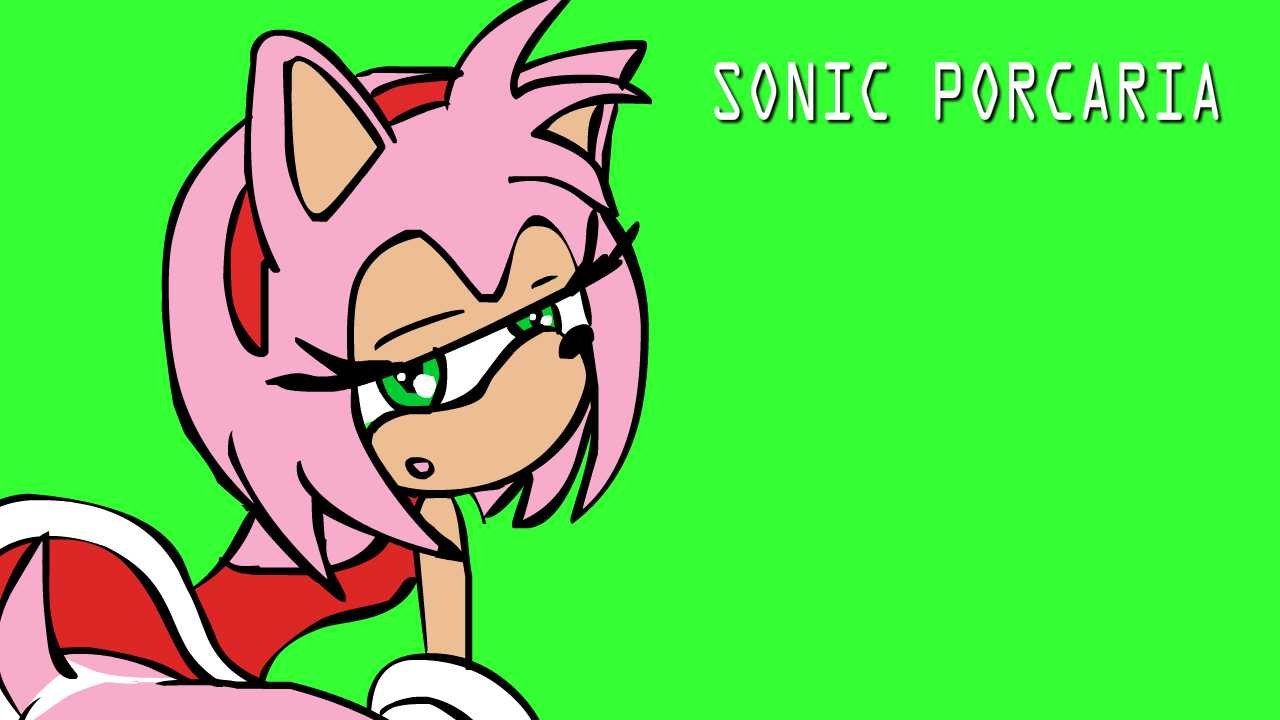 Sonic porcaria