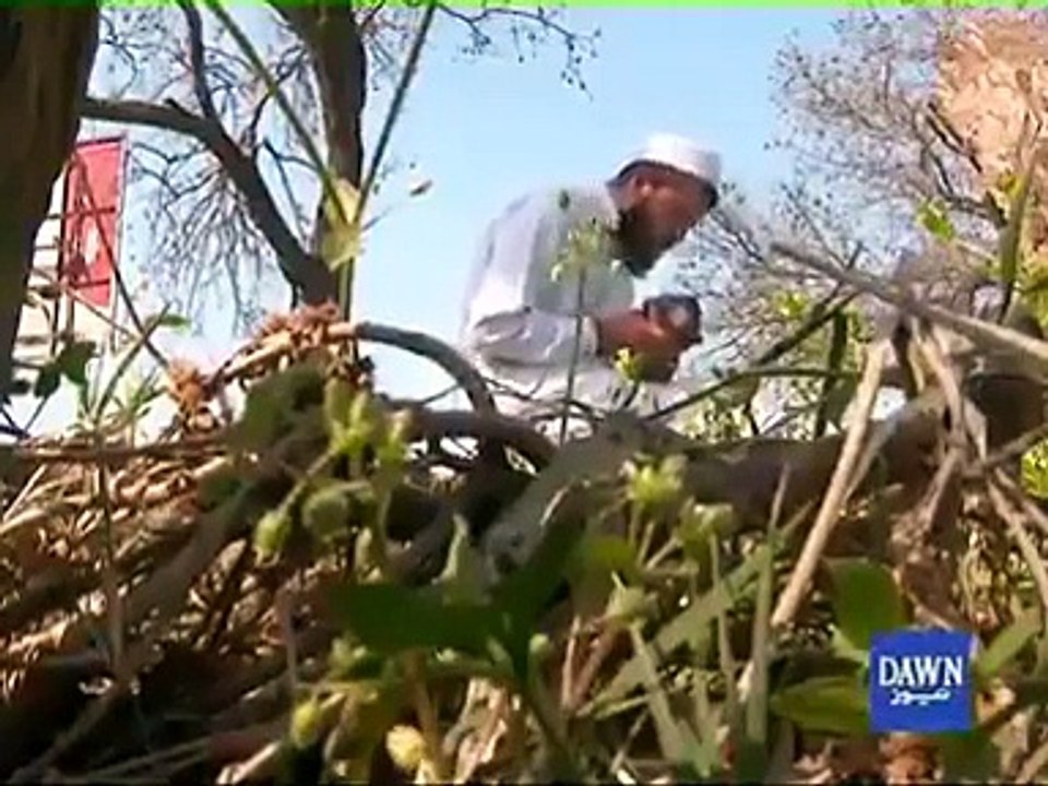 قدرت کاکمال و کرشمہ ۔یہ آدمی قرانی آیات کے علاوہ کچھ بھی پڑھ لکھ اور بول نہیں سکتا