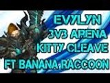 Evylyn - 6.1 level 100 Arms Warrior 3v3 Arena Kitty Cleave ft Banana Raccoon wow wod warrior pvp
