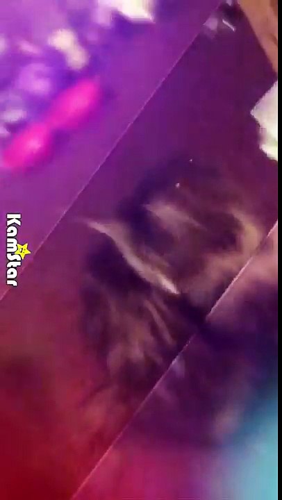 TiK ToK - Ke$ha