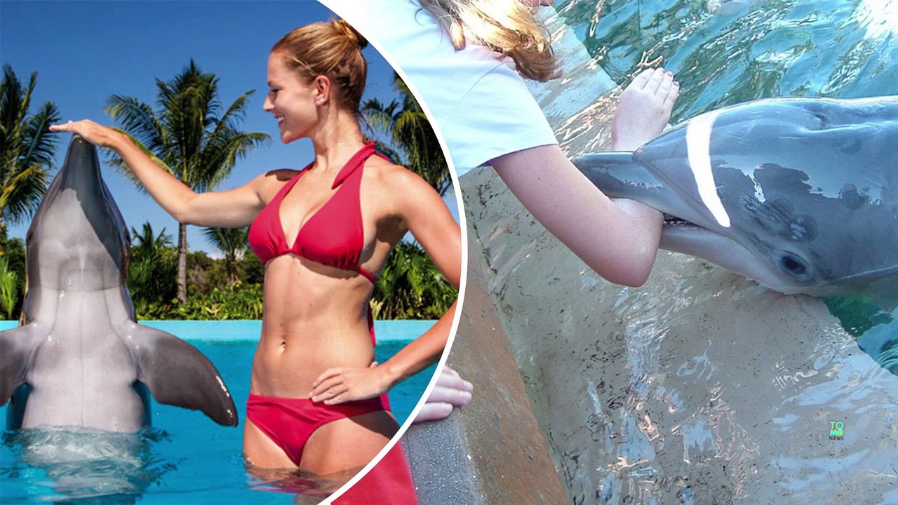 chad hatten  chad hatten chad hatten  chad hatten chad hatten  chad hatten houston dallas dallas houston dallas houston