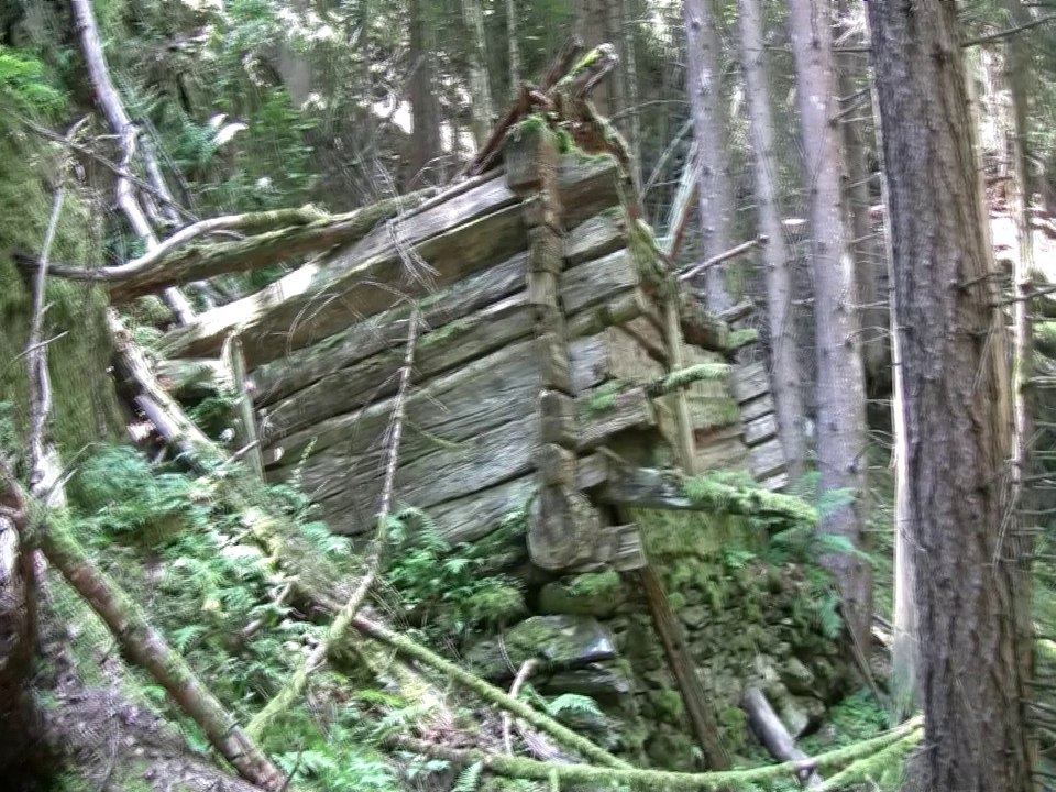 La nature reprend ses droits