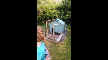 Rural Steve - Duck Tails Part1