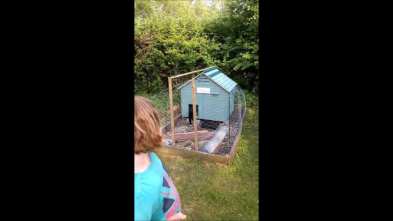 Rural Steve - Duck Tails Part1