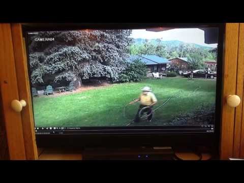 Man Lassos Bear With Jar Stuck on His Head