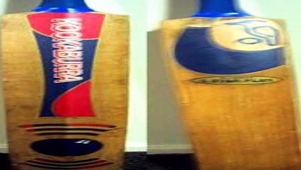 Perry leads horde of Southern Stars in England’s new domestic T20 competition