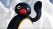 Pingwin Pingu Pingolo - 3 Kompilacja 50 min