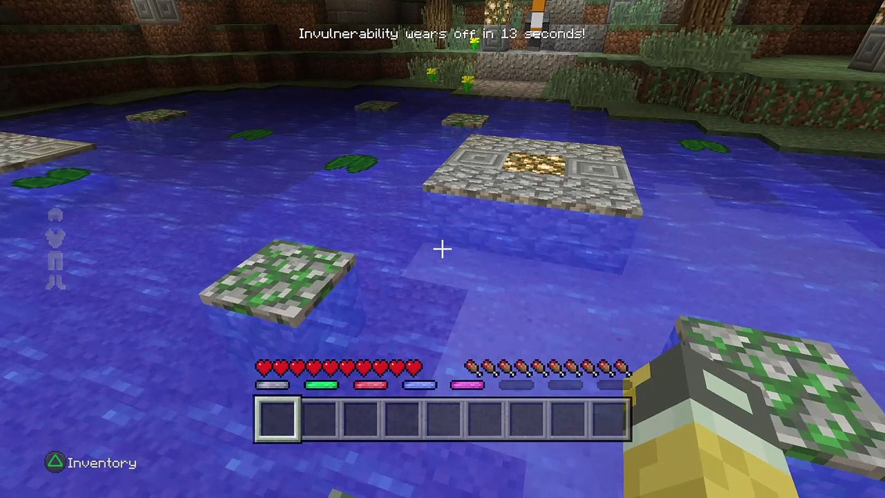Minecraft: PlayStation®4 battles
