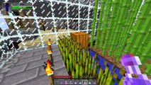 Minecraft  POPULARMMOS CASTLE HUNGER GAMES - Lucky Block Mod - Modded Mini-Game