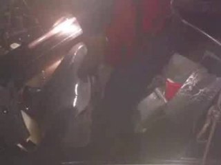 Coast Guard video: Dolphin rescued from inside boat