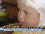 4-year-old recovering after being attacked by family pit bull