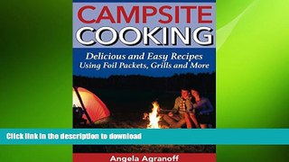 READ BOOK  Campsite Cooking: Delicious and Easy Recipes Using Foil Packets, Grills and More  GET