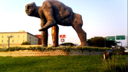 Stand Up Latino: Franco Escamilla - Medios en Colima / No disparen al gorila / Quejas