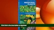 READ BOOK  Medicinal Plants: A Folding Pocket Guide to Familiar Widespread Species (Pocket