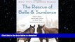 GET PDF  The Rescue of Belle and Sundance: One Town s Incredible Race to Save Two Abandoned Horses