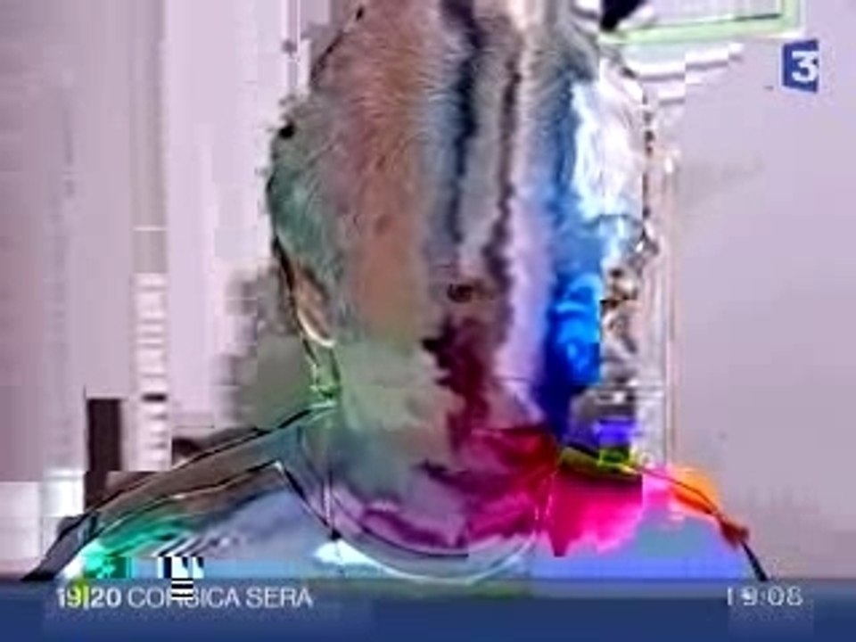 © France3Corse : Ghjurnate di Corti