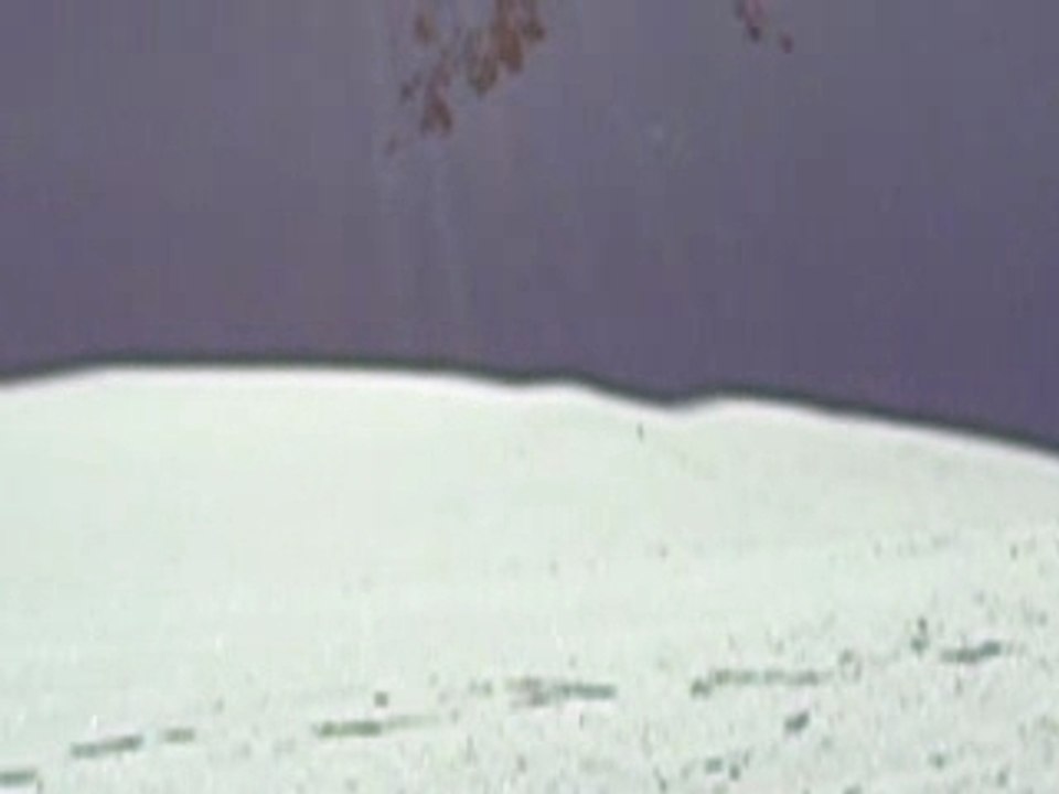 DSCN8570