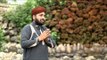 Saiyyan Nazare Karam Di | Muhammad Usman Qadri Of Lahore | Naat 2015 | Ramadan Kareem