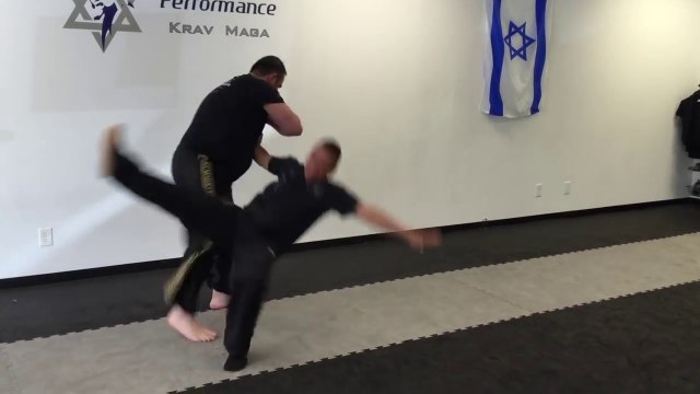 KRAV MAGA COURSE IN AMERICA BY ALAIN COHEN APRIL 2016