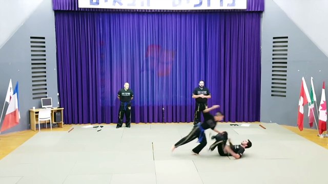 AMAZING KRAV MAGA TECHNICAL DEMONSTRATION AT WINGATE INSTITUTE 2016 - ALAIN COHEN