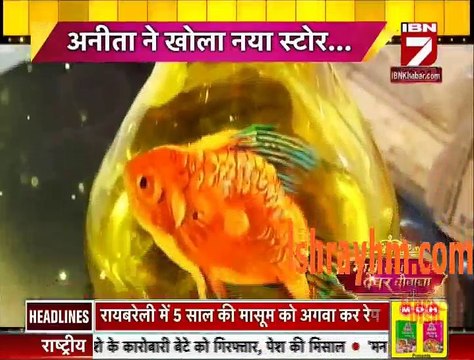 IBN 7 Bhabhi Tera Devar dewaana 22nd August 2016 Yeh hai Mohabbatein 22nd August 2016