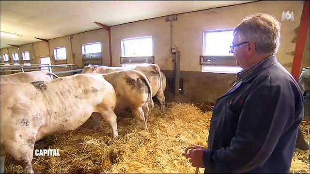 Voici combien coûte vraiment la viande que vous consommez - Regardez