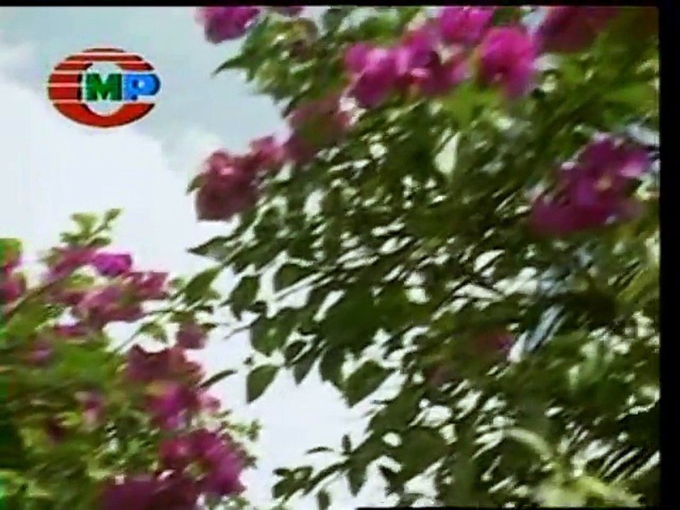 Broken Hearted Woman - Video Karaoke (CMP) - Minus One