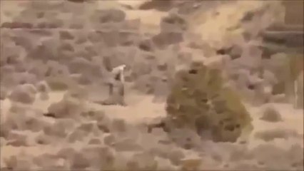 Graban una extraña criatura en un desierto de Portugal