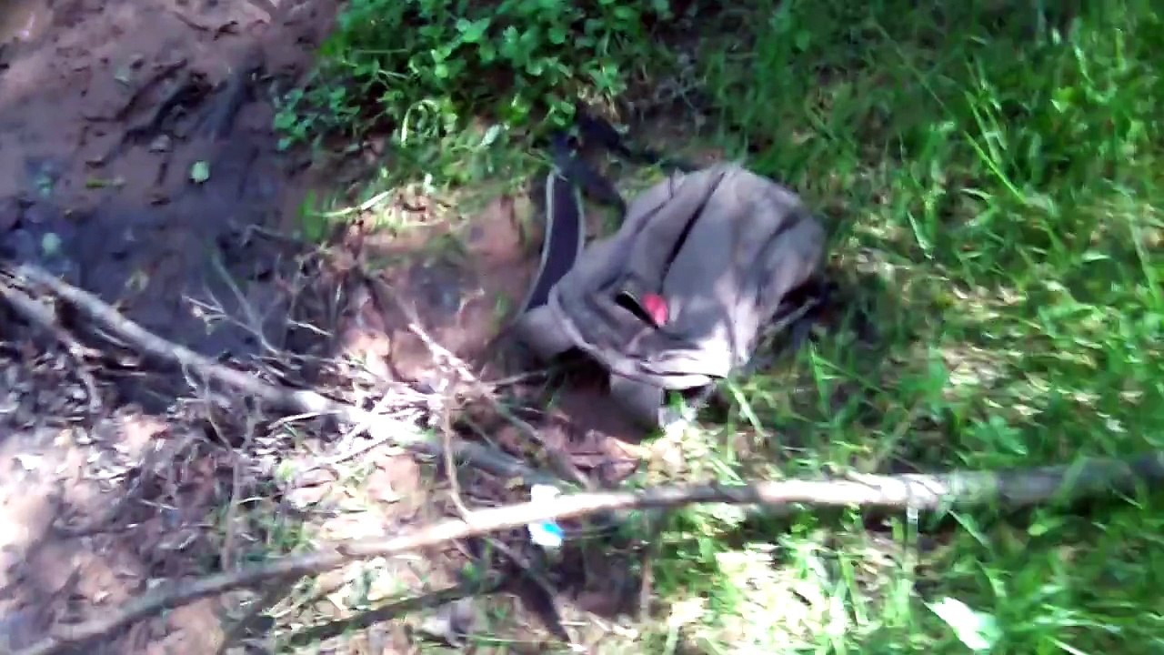 DETECTION AQUATIQUE ( SANS POISSON )