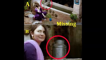 You Will Laugh On Producer After Seeing These Silly Mistakes In Sultan Movie