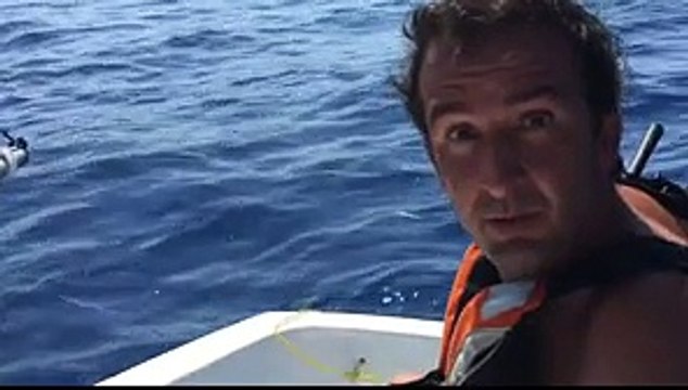 Découvrez le teaser du nouveau Petit journal de Canal+ avec Cyrille Eldin