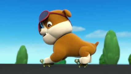 Paw Patrol : La Pat' Patrouille | Les petites tortues | NICKELODEON JUNIOR