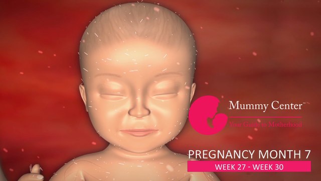 7th Month of Pregnancy – Definitive Guide For Pregnancy Month 7 - Week (27,28,29,30) - Mummy Center
