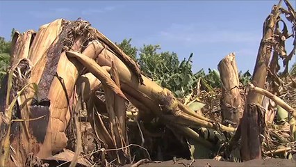 فيضانات تضرب جنوب شرقي السودان