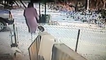 Elle reçoit la punition de sa vie en voulant chasser méchamment un chat en lui jetant de la neige