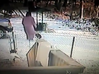 Elle reçoit la punition de sa vie en voulant chasser méchamment un chat en lui jetant de la neige