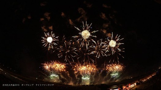 赤川花火大会16 動画 映像 感動日本一の花火大会 山形県鶴岡市 花火マニア 愛好家 安斎幸裕オフィシャルブログ