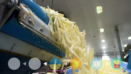 Comment sont fabriquées les frites de McDonald