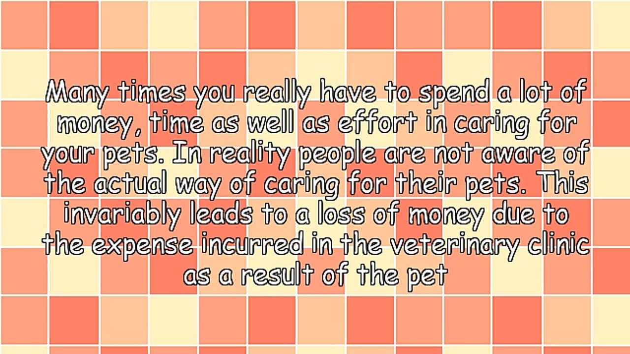 Care for Your Pets Using These Tips That Are Cost Effective Even